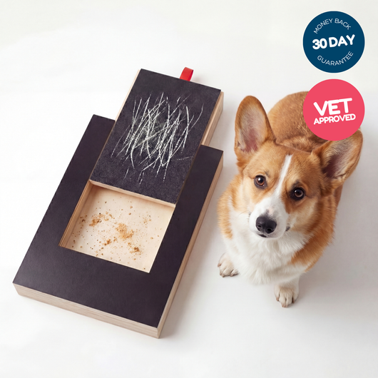 playnails - nail scratch board